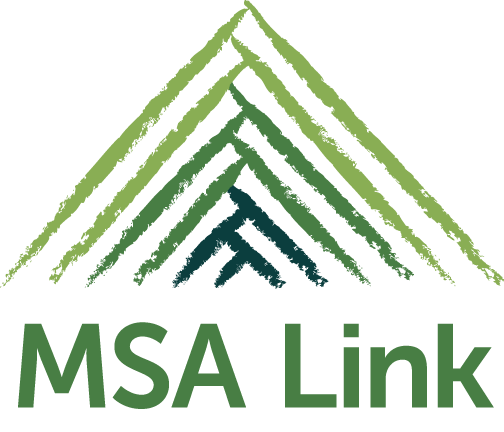 MSA Link
