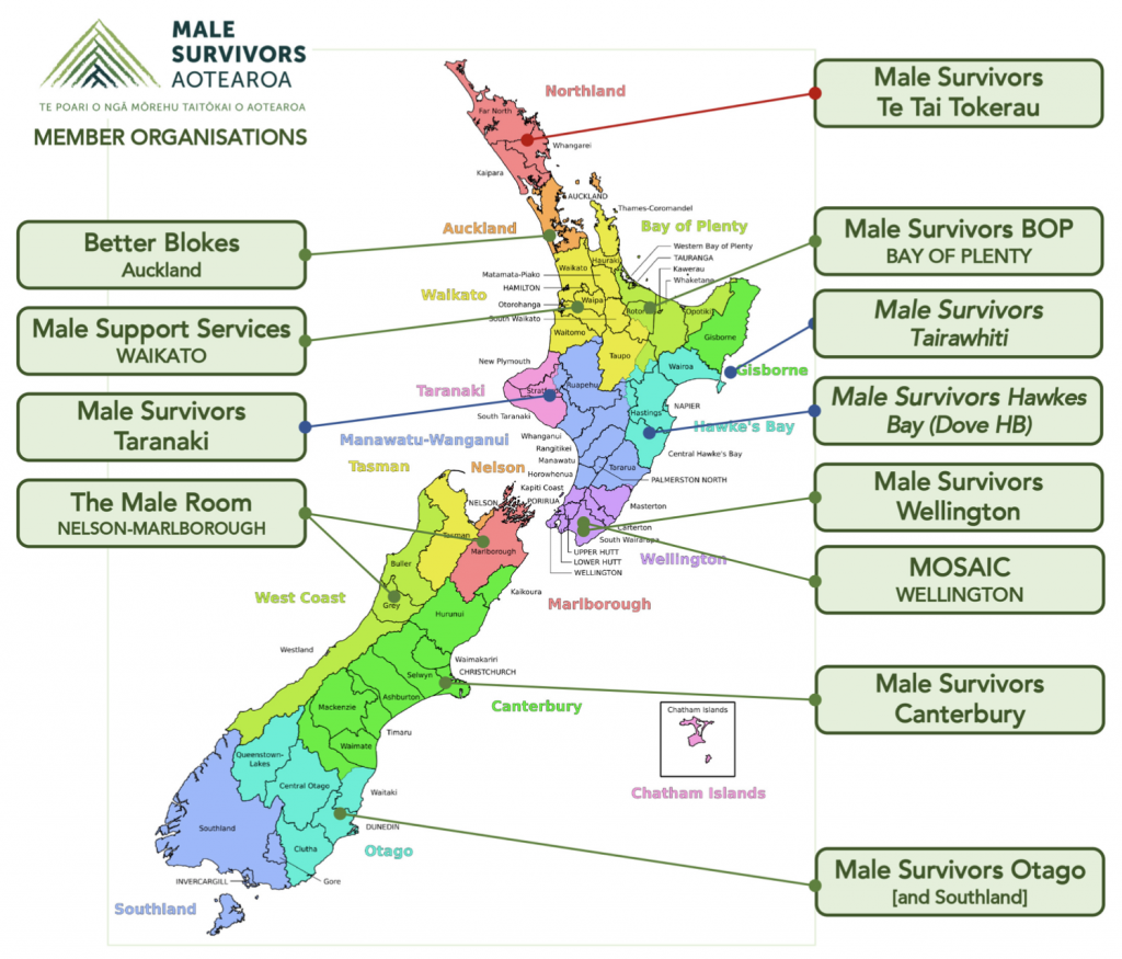 Male Survivor National network